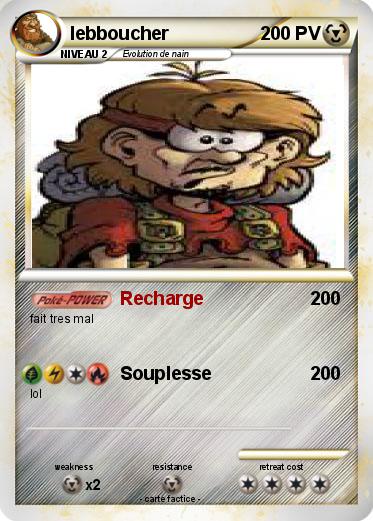 Pokemon lebboucher