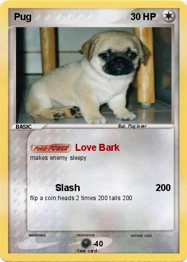 Pokemon Pug