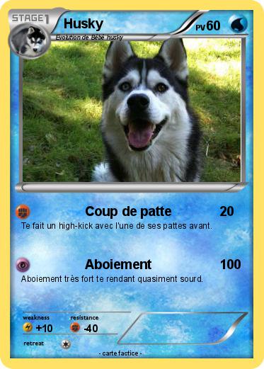 Pokemon Husky
