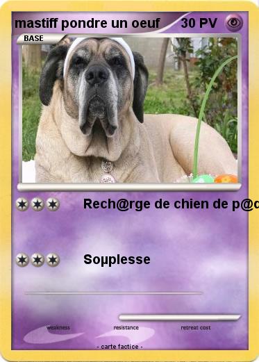 Pokemon mastiff pondre un oeuf