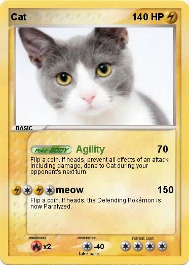 Pokemon Cat