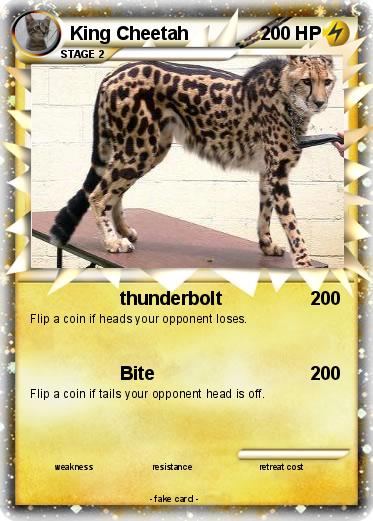 Pokemon King Cheetah
