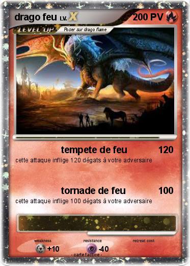Pokemon drago feu