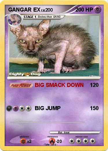 Pokemon GANGAR EX