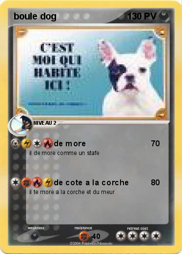 Pokemon boule dog 