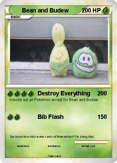 Pokemon Bean and Budew