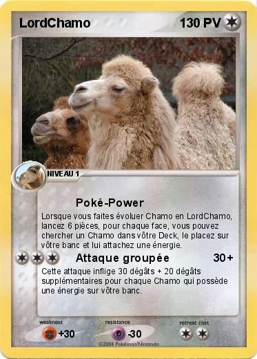Pokemon LordChamo