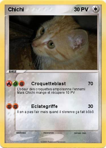 Pokemon Chichi