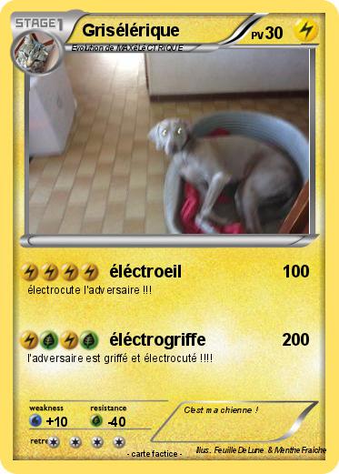 Pokemon Grisélérique