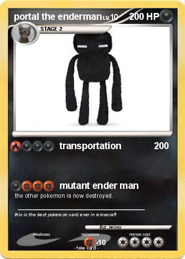 Pokemon portal the enderman