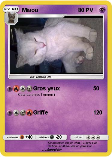 Pokemon Miaou