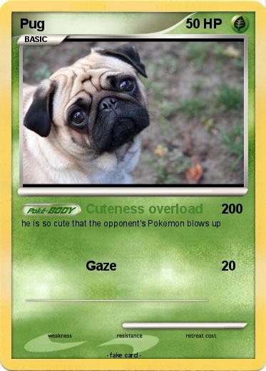 Pokemon Pug