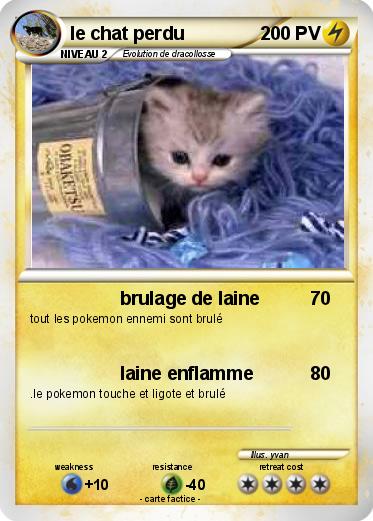 Pokemon le chat perdu