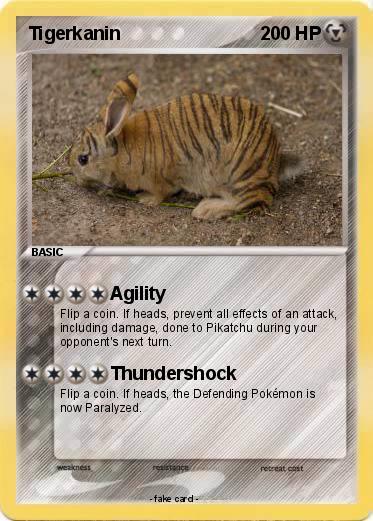 Pokemon Tigerkanin