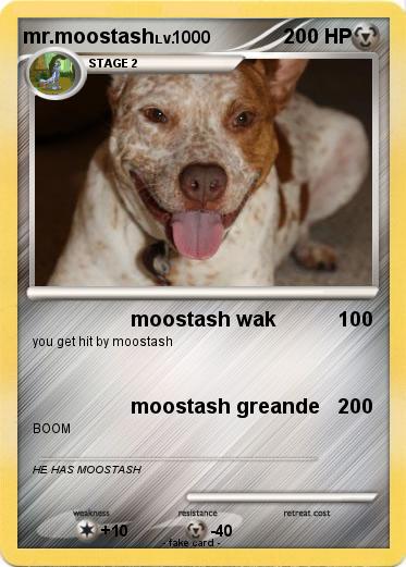 Pokemon mr.moostash