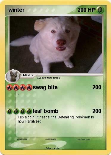 Pokemon winter