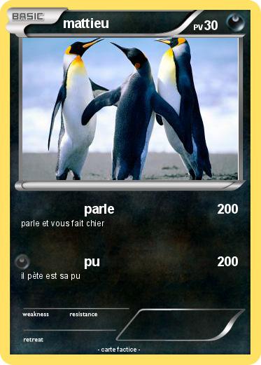 Pokemon mattieu