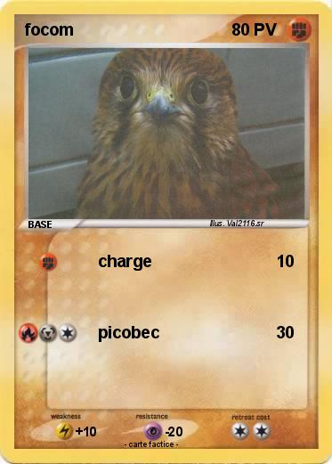 Pokemon focom