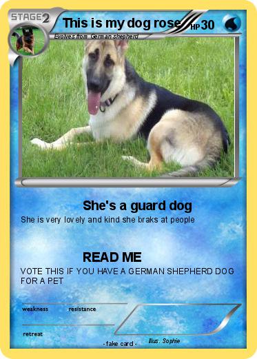 Pokemon This is my dog rose