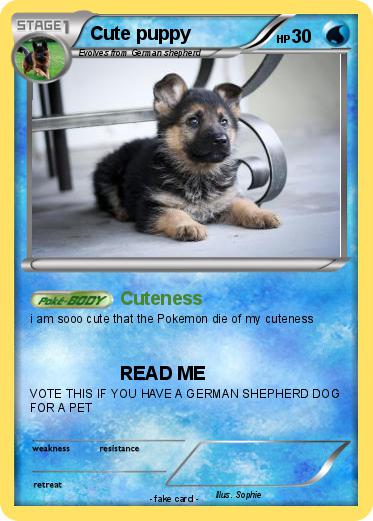 Pokemon Cute puppy