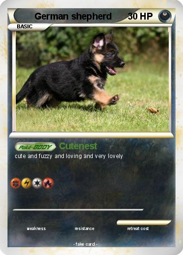 Pokemon German shepherd