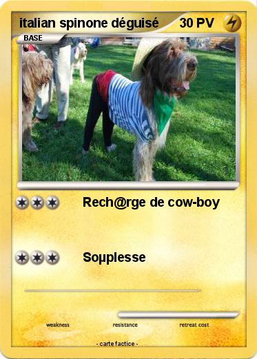 Pokemon italian spinone déguisé