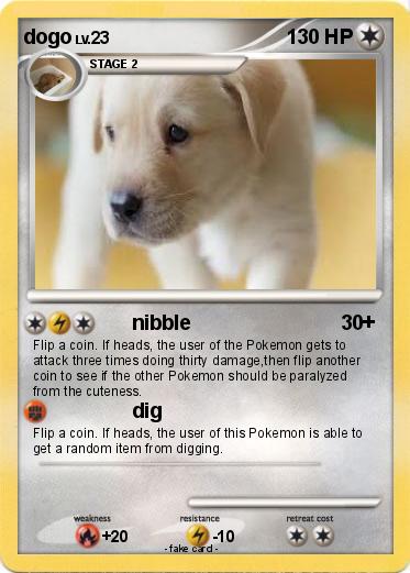 Pokemon dogo