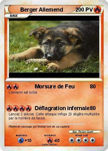 Pokemon Berger Allemend
