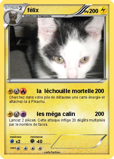 Pokemon félix