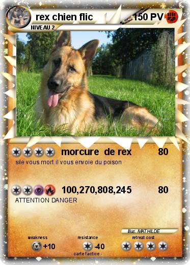 Pokemon rex chien flic