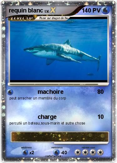 Pokemon requin blanc
