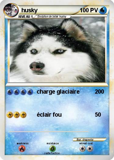 Pokemon husky