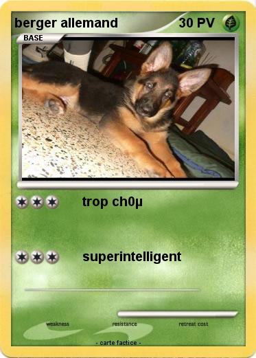 Pokemon berger allemand
