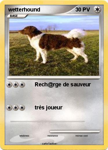 Pokemon wetterhound