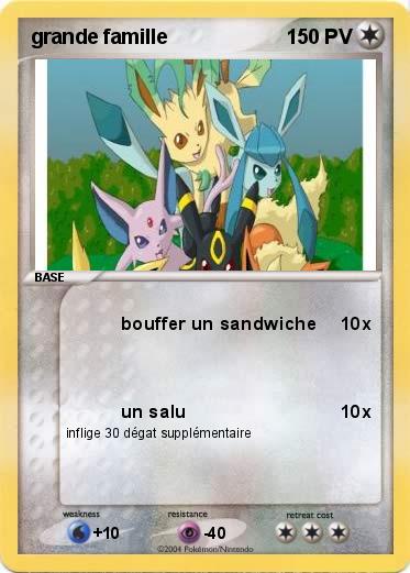 Pokemon grande famille