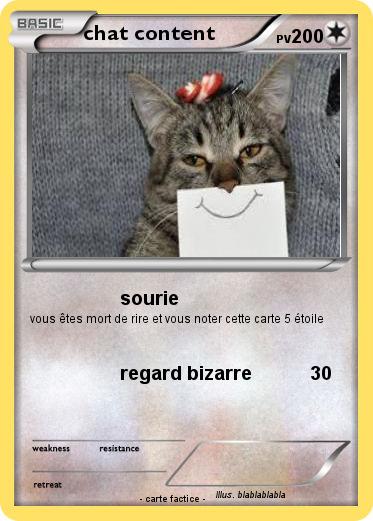Pokemon chat content