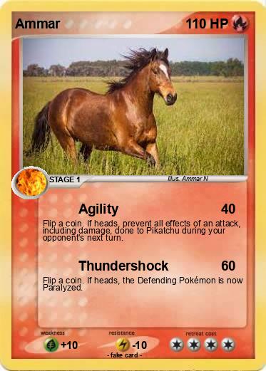 Pokemon Ammar