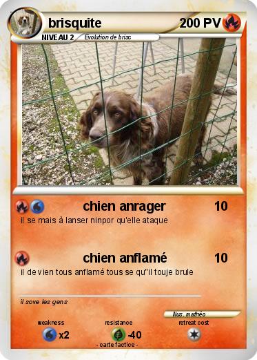 Pokemon brisquite