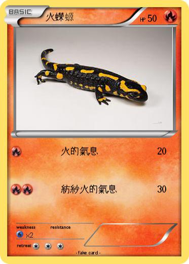 Pokemon 火蠑螈