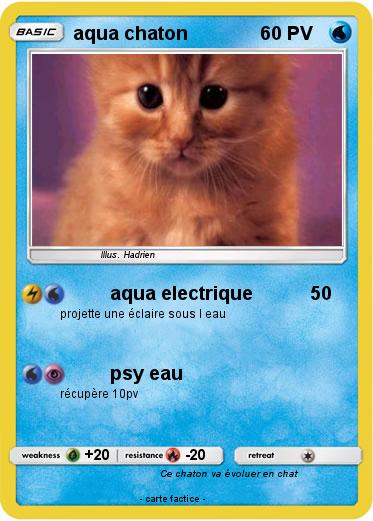 Pokemon aqua chaton
