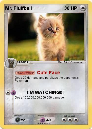 Pokemon Mr. Fluffball