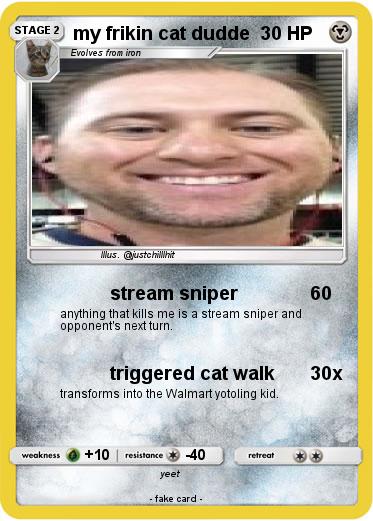 Pokemon my frikin cat dudde