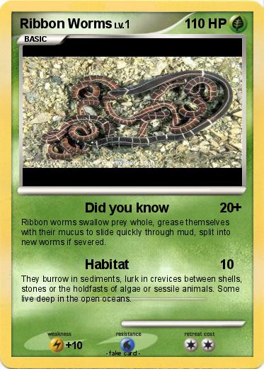 Pokemon Ribbon Worms