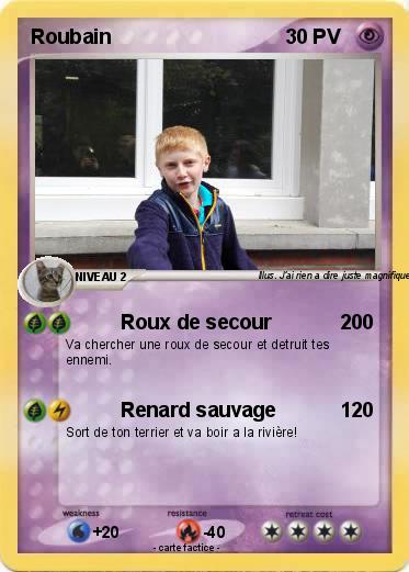Pokemon Roubain