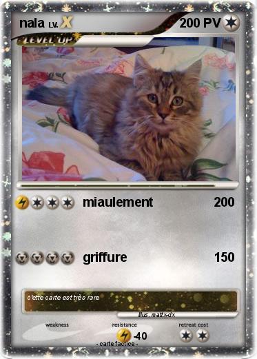 Pokemon nala