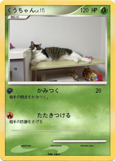 Pokemon くうちゃん