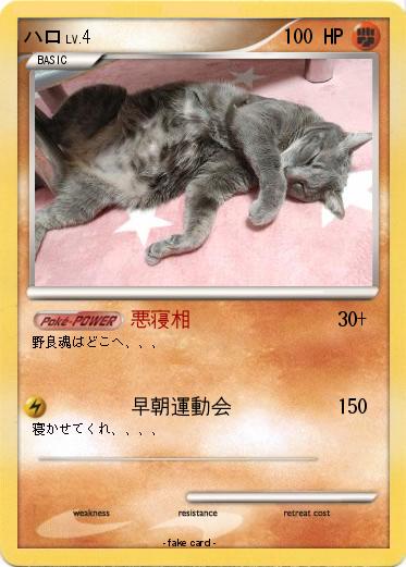 Pokemon ハロ