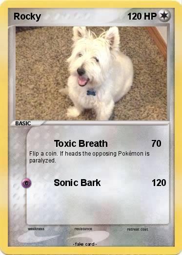 Pokemon Rocky