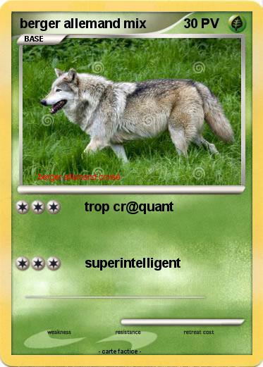 Pokemon berger allemand mix