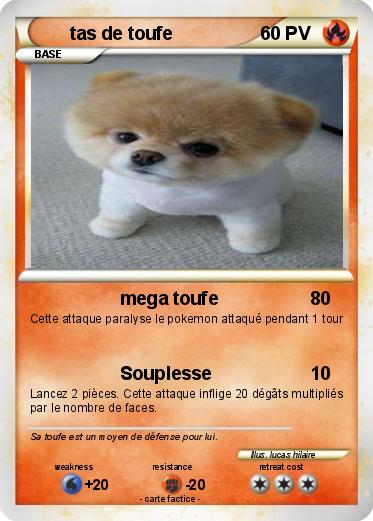 Pokemon tas de toufe